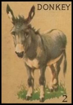 R15-2 2 Donkey.jpg